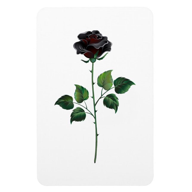 Imán Flor rosa negra (Vertical)