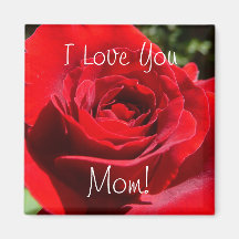 Flor rosa roja brillante hermosa flor