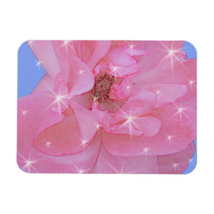 Imán flor rosa rosa rosa rosa y estrellas brillantes