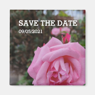Imán Flor rosa rosada