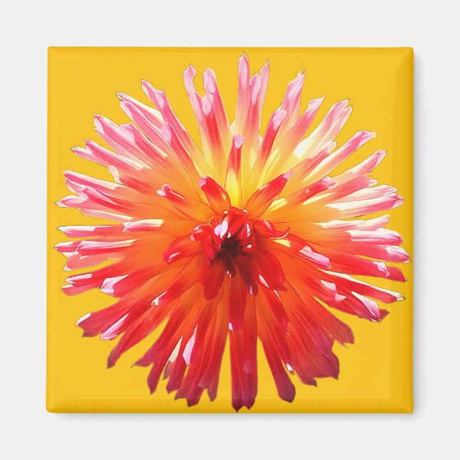 Imán Flor rosa y amarilla (Frente)