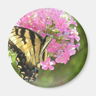 Imán Flor rosa y mariposa