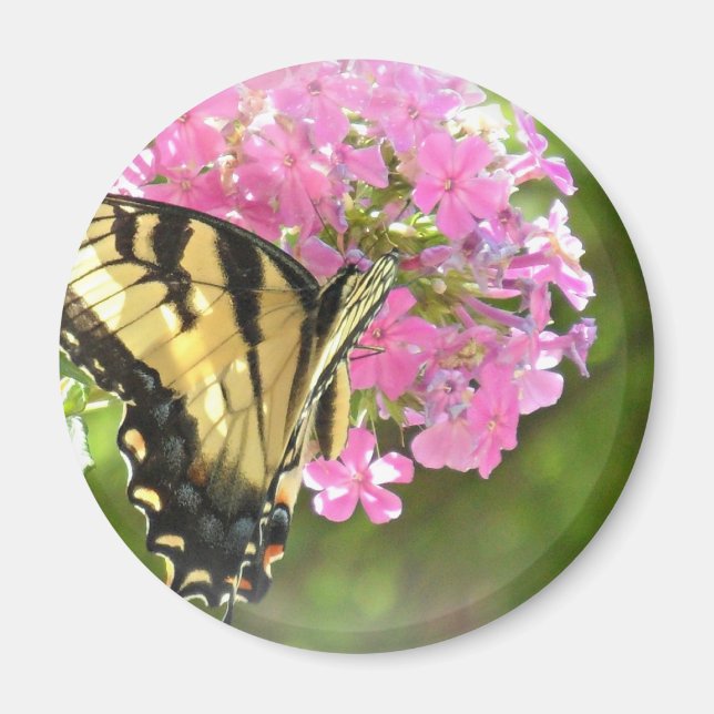 Imán Flor rosa y mariposa (Frente)