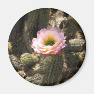 Imán Flor rosada del cactus