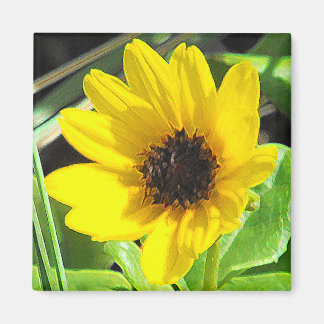 Imán Flor silvestre amarilla