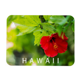 Imán Flor tropical Hanalei Red Hibiscus