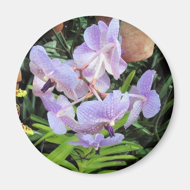 Imán flor violeta (Frente)