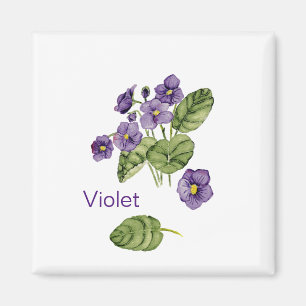 Imán Flor violeta morada acuarela Magnet