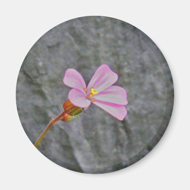 Imán Flor y piedra (Frente)