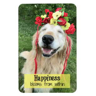 Imán Floraciones de la felicidad del golden retriever