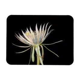Imán floral de cactus