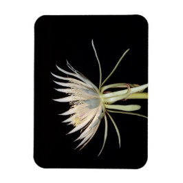 Imán floral de cactus