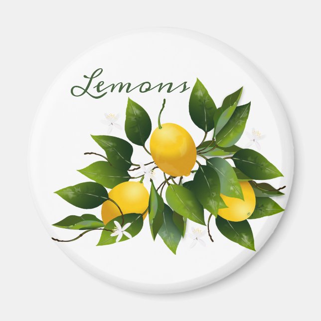 Imán Floral de frutas de cítricos de Lemons (Frente)