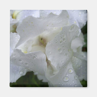 Imán floral de Iris