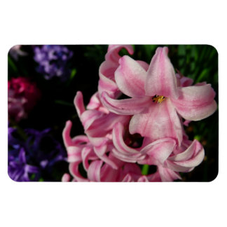 Imán Floral de primavera de Hyacint rosado