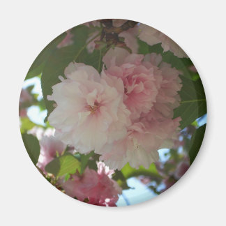 Imán Floral de primavera del árbol de cerezo doble flor