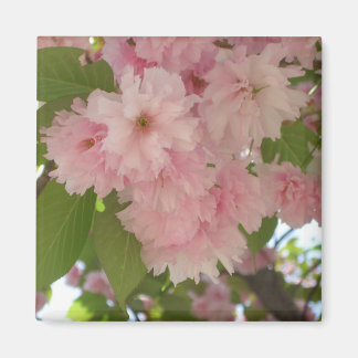 Imán Floral de primavera del árbol de cerezo II con dob
