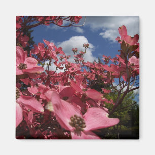 Imán floral del regalo de la variedad del jardín