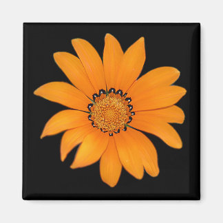 Imán floral naranja
