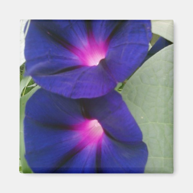 Imán floral para la nevera (Frente)