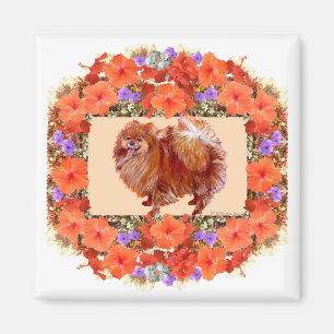 Imán Floral Pomerania