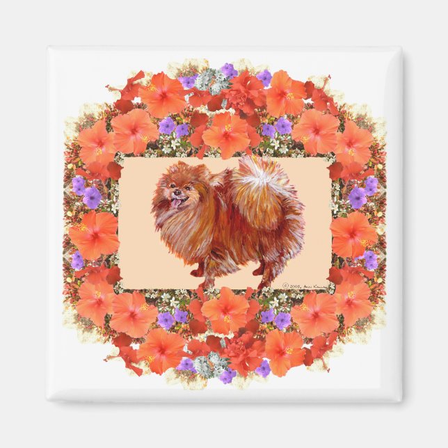 Imán Floral Pomerania (Frente)
