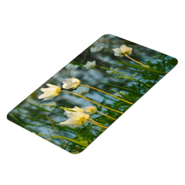 IMÁN FLORAL PRECIOSA (Lado Izquierdo)