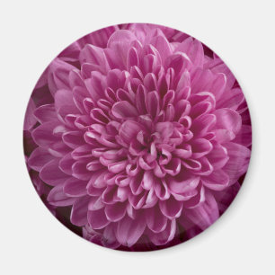 Imán Floral rosa