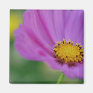Imán floral rosa