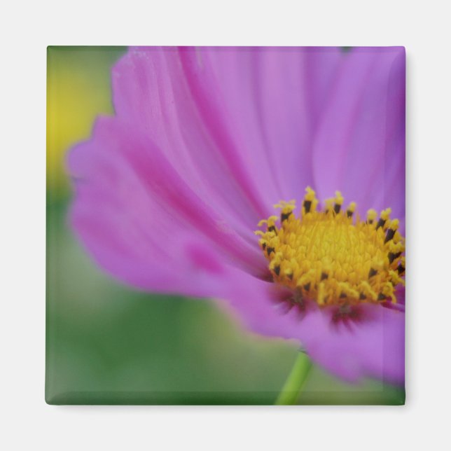 Imán floral rosa (Frente)