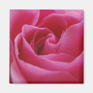 Imán floral rosa