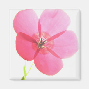 Imán floral rosa