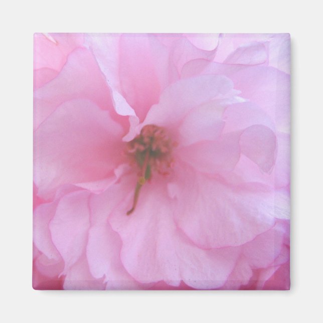 Imán floral rosa (Frente)