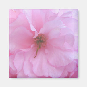 Imán floral rosado