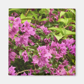 Imán Floral Tropical Morada Bougainvillea