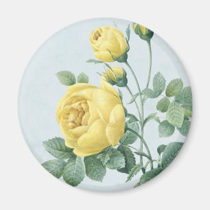 Imán floral vintage con hermosa rosa amarilla