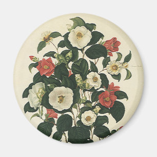 Imán Floral Vintage, Flores de Rosas de Jardín Antiguas