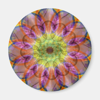 Imán Floramoeba Star Mandala