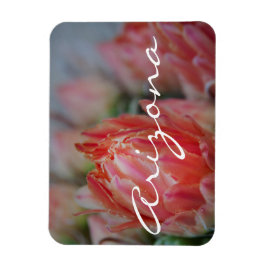 Imán Florece el verano en Arizona