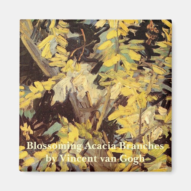 Imán Florecientes ramas de Acacia por Vincent van Gogh (Frente)