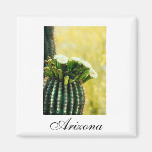 Imán Florecimiento de Arizona saguaro