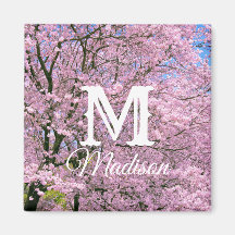 Florecimiento de cerezos en flor