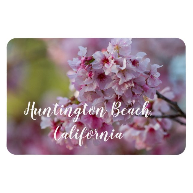Imán Florecimiento de cerezos en Huntington Beach (Horizontal)