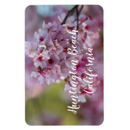 Imán Florecimiento de cerezos en Huntington Beach