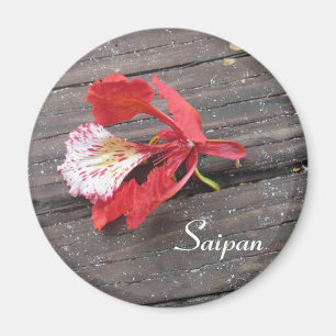 Imán Florecimiento De Un Árbol De Flame Solitario En Un