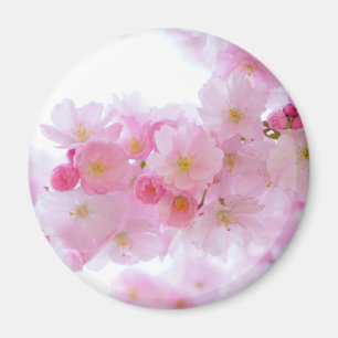 Imán Florecimiento del Árbol de cerezo japonés