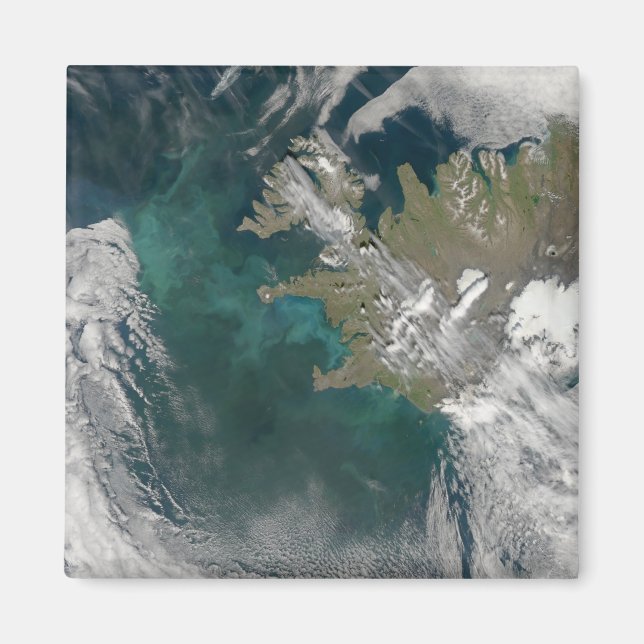 Imán Florencia del fitoplancton en el Océano Atlántico  (Frente)