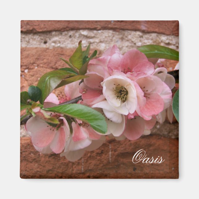 IMÁN FLORES (Frente)