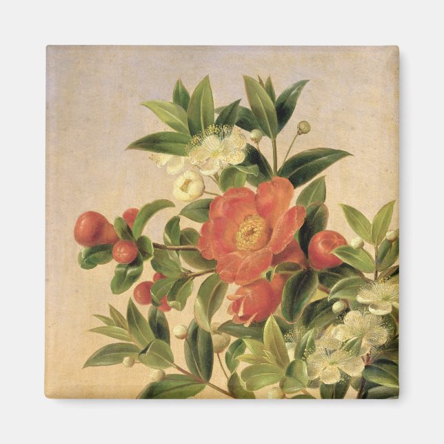Imán Flores, 1835 (Frente)