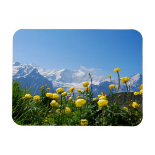 Imán Flores   Alpes suizos Eiger Monch